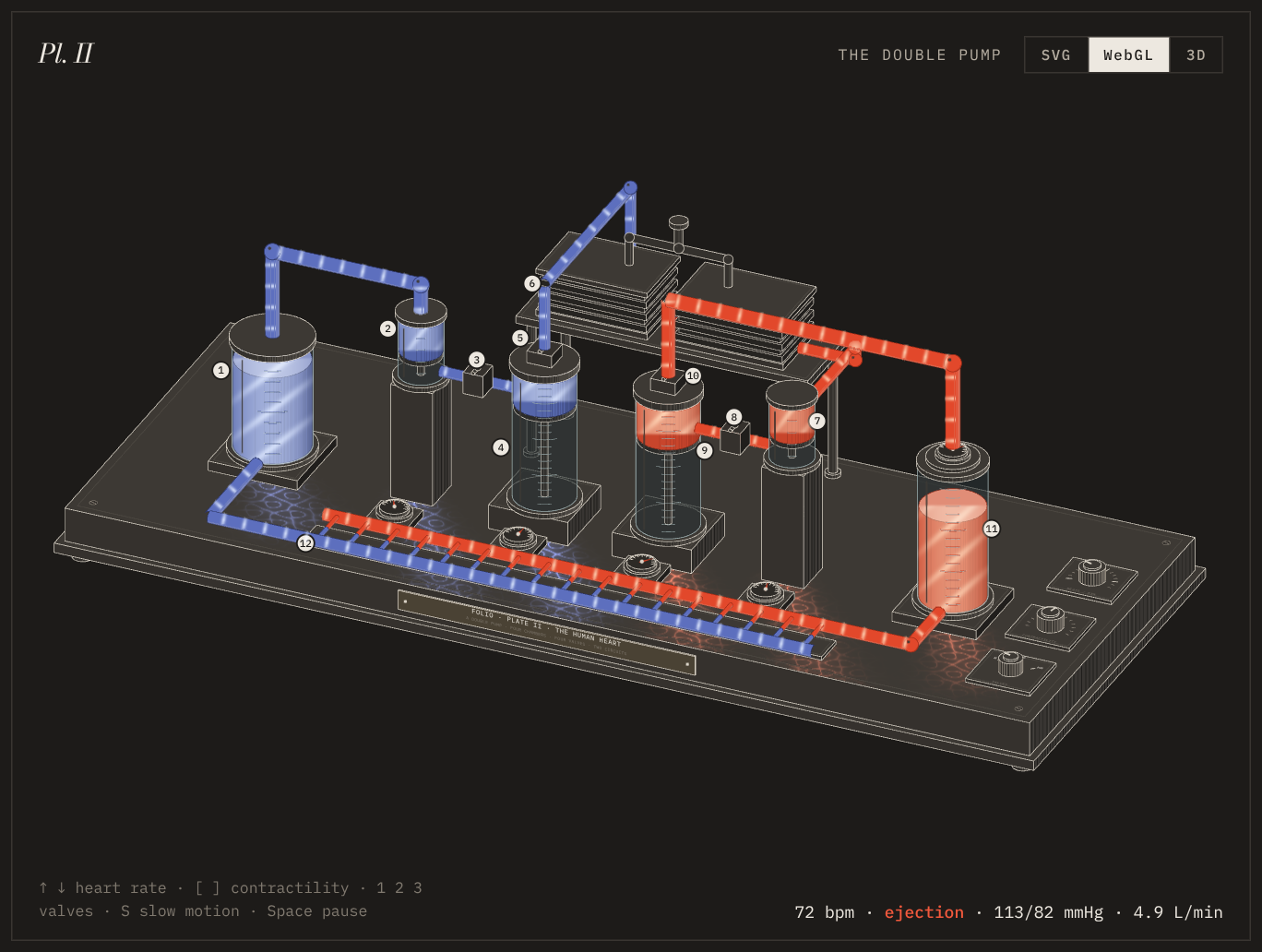 WebGL view